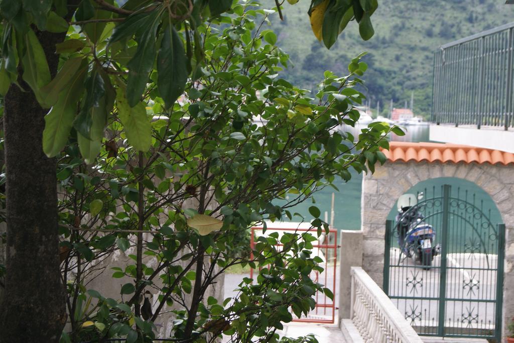 Apartment Kotor-Andrija Jovanovic Quarto foto